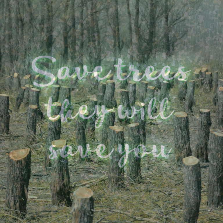 A haunting image of a forest with tree stumps, overlaid with the ethereal text "Save trees they will save you" in a glowing green script, emphasizing the message of conservation amidst a backdrop of deforestation.