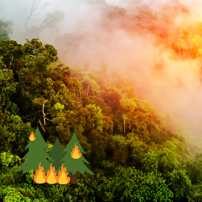 A vivid image depicting a lush forest shrouded in mist with a semi-transparent overlay of burning trees, symbolizing the urgent threat of wildfires to natural habitats.