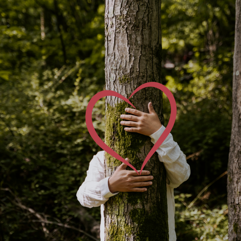 A tender image of a person hugging a tree within a lush forest, framed by a heart shape, conveying a deep love and connection to nature.